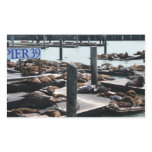 Pier 39 Sea Lions Rectangular Sticker