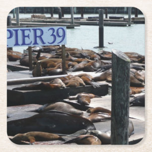 Pier 39 Sea Lions Square Paper Coaster