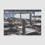 Pier 39 Sea Lions Tissue Paper
