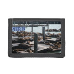 Pier 39 Sea Lions Tri-fold Wallet