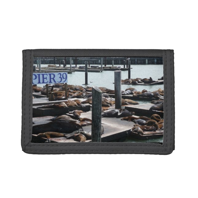 Pier 39 Sea Lions Trifold Wallet (Front)