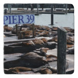 Pier 39 Sea Lions Trivet