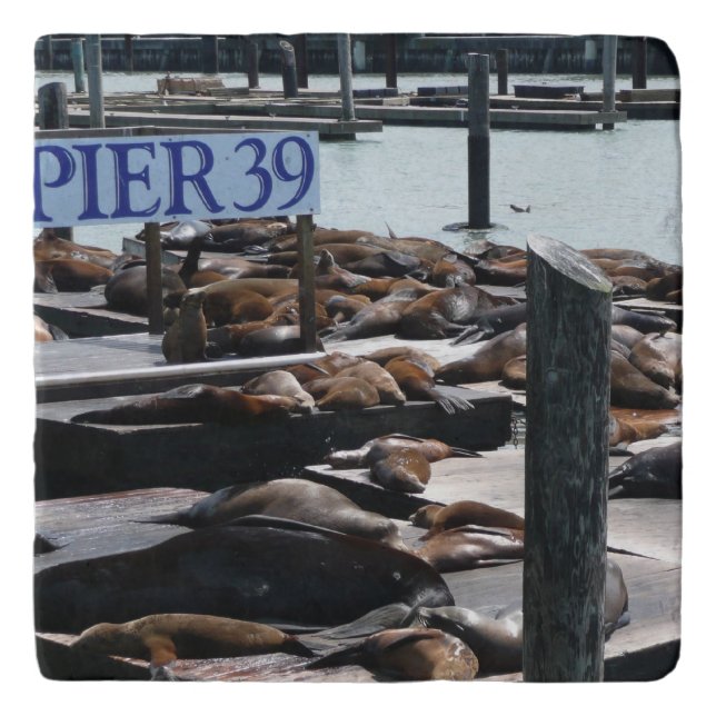Pier 39 Sea Lions Trivet (Front)