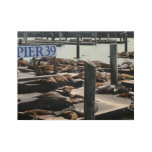 Pier 39 Sea Lions Wood Poster