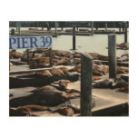 Pier 39 Sea Lions Wood Wall Decor