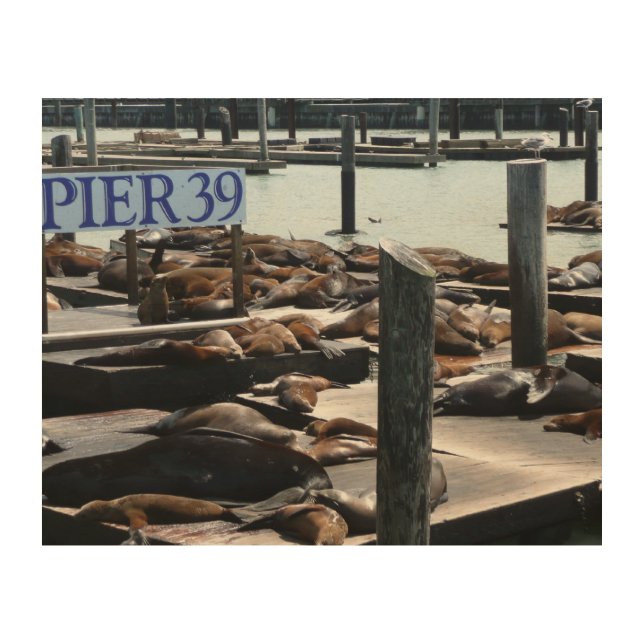 Pier 39 Sea Lions Wood Wall Decor (Front)