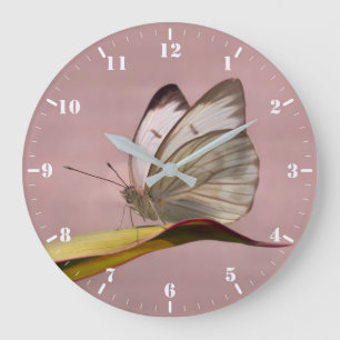 Pieris garden white butterfly large clock