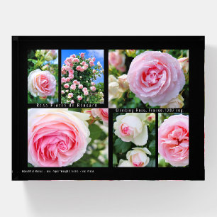 Pierre de Ronsard [Barra] Paperweight