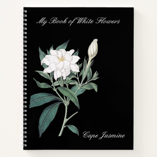 Pierre_Joseph Redout Cape Jasmine Notebook