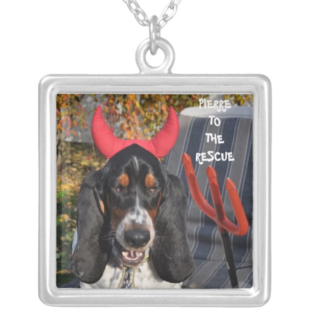 PIERRE TO THE RESCUE NECKLACE (Front)