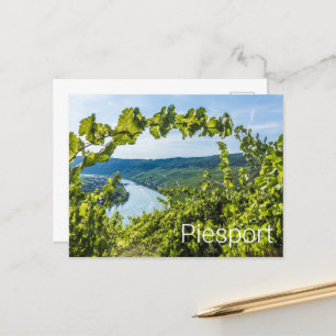 Piesport Moselle Grapes Vintage Vines Souvenir Holiday Postcard