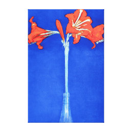 Piet Mondrian - Amaryllis Fine Art Flower Painting Canvas Print