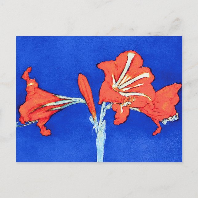 Piet Mondrian - Amaryllis Fine Art Flower Painting Postcard (Front)