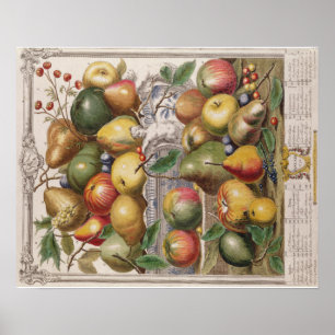 Pieter Casteels, Twelve Months of Fruits"  January Poster