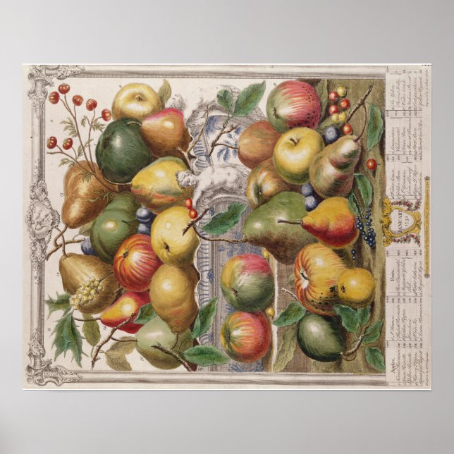 Pieter Casteels, Twelve Months of Fruits"  January Poster (Front)
