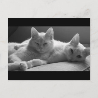 Piff and Puff Postcard