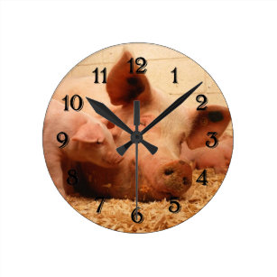 Pig Wall Clocks | Zazzle