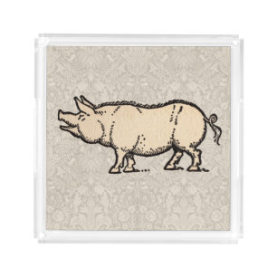 Pig Antique Piggy Cute Vintage Illustration Acrylic Tray