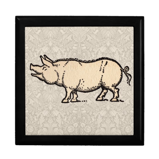 Pig Antique Piggy Cute Vintage Illustration Gift Box (Front)
