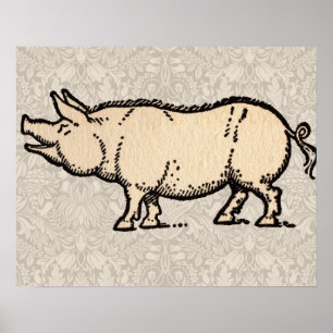 Pig Antique Piggy Cute Vintage Illustration Poster