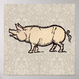 Pig Antique Piggy Cute Vintage Illustration Poster