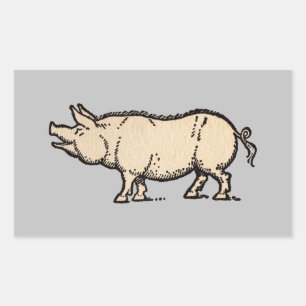 Pig Antique Piggy Cute Vintage Illustration Rectangular Sticker