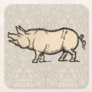 Pig Antique Piggy Cute Vintage Illustration Square Paper Coaster