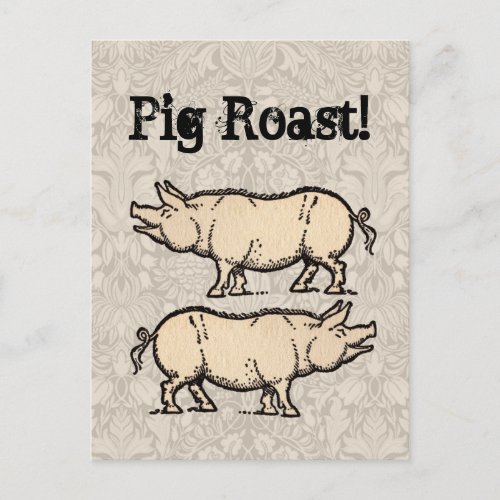Pig Antique Piggy Cute Vintage Postcard