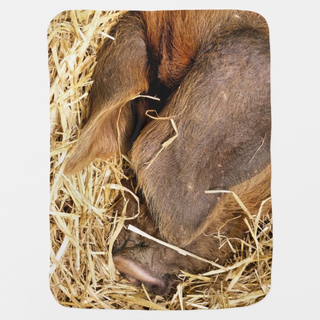 PIG BABY BLANKET (Front)