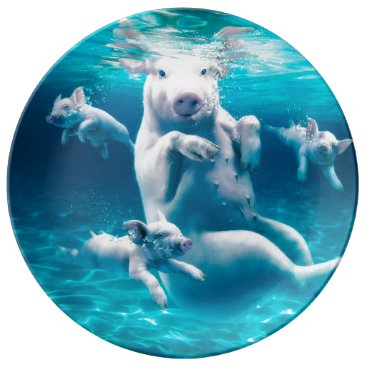 Pig beach - swimming pigs - funny pig plate Pig beach - swimming pigs - funny pig plate