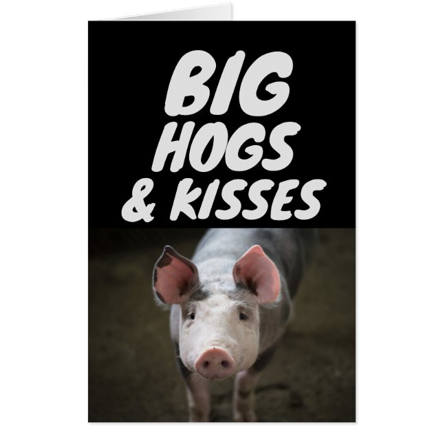 PIG BIRTHDAY HOGS AND KISSES JUMBO HUGE Card (Front)