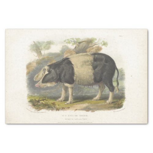 Pig Black White Ephemera Decoupage Vintage Farm Tissue Paper