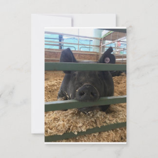 Pig blank inside card