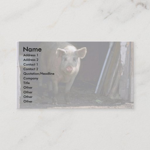 Customizable Pig Business Card Templates