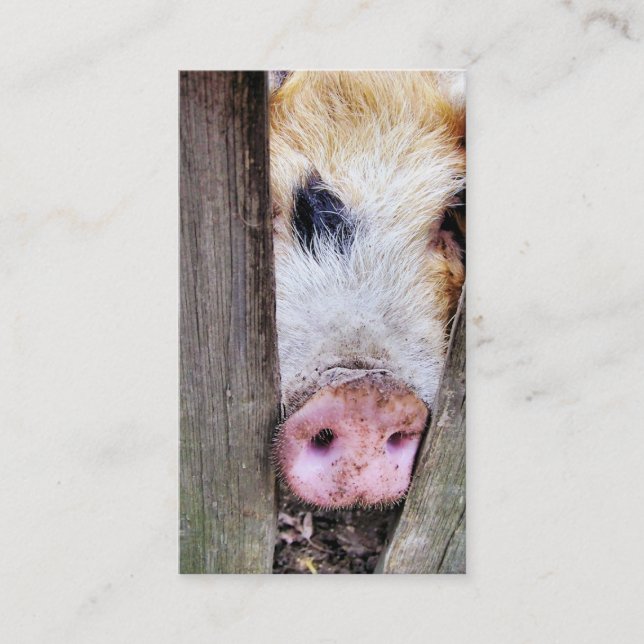 PIG BUSINESS CARD (Front)