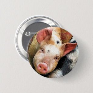 PIG BUTTON