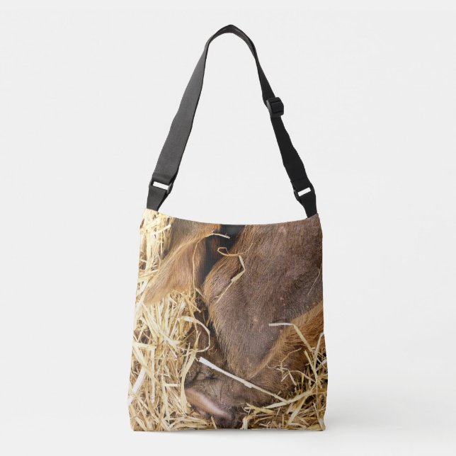 PIG CROSSBODY BAG (Front)