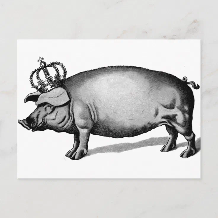 Pig Crown Royal Queen Big Piggy Postcard | Zazzle