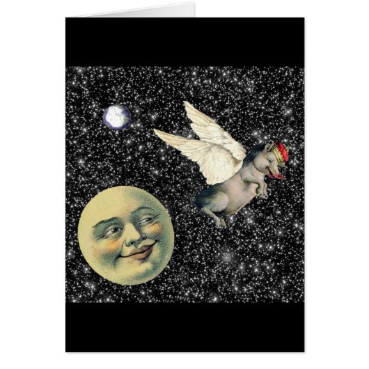 Pig Dreams Cards (Front)