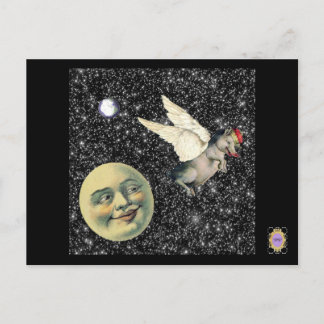 Pig Dreams Postcard