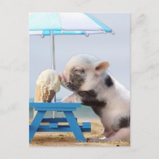 Pig eating ice cream on the beach postcard