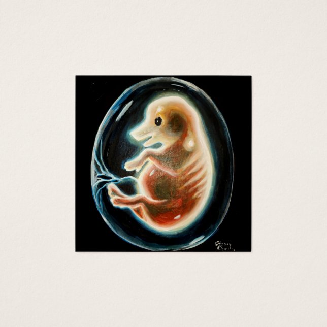 Pig embryo (Front)