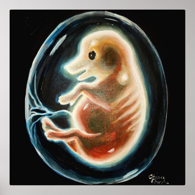 Pig embryo foil prints (Front)