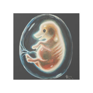 Pig embryo gallery wrap