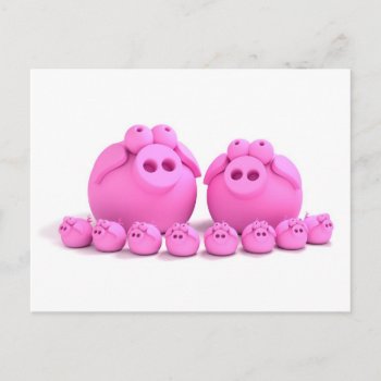 Pig Family Postcard by chromobotia at Zazzle