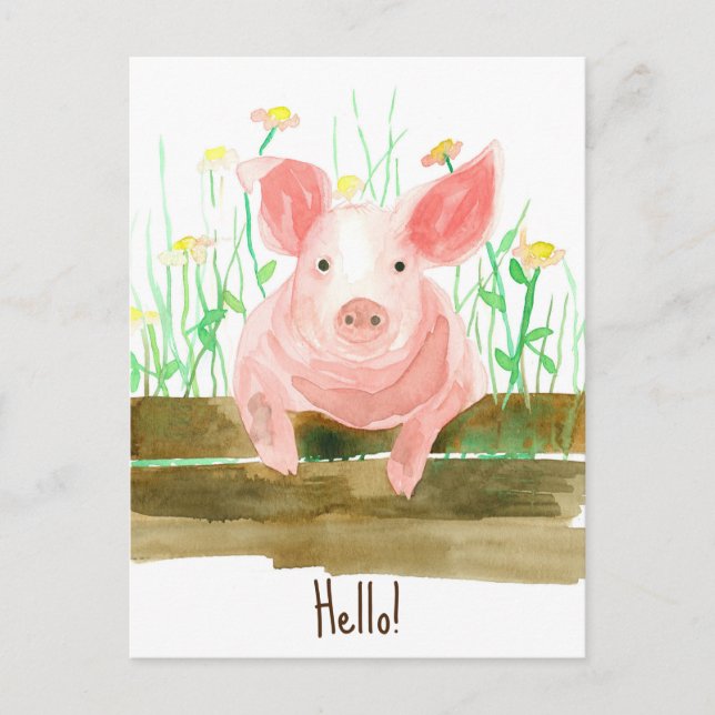 Pig Farm Animal Barnyard Fence Wildflowers  Postcard (Front)