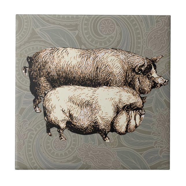 Pig Farm Country Antique Illustration Art Ceramic Tile (Front)