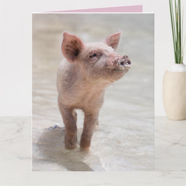 PIG HOG FUNNY BIRTHDAY CARD CARDS (Front)
