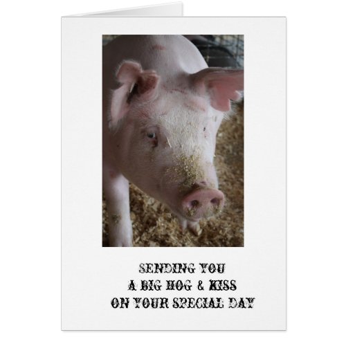 Pig Hog  Kiss Card