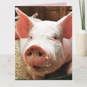 PIG HOG LOVE CARD CARDS